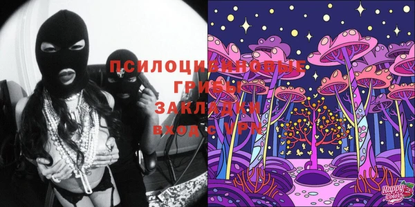 прущие крисы Зеленокумск