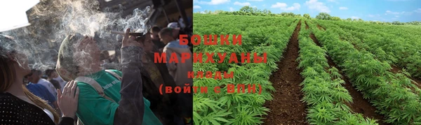 прущие крисы Зеленокумск