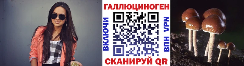 Галлюциногенные грибы Psilocybe  Купить закладки  Козьмодемьянск 